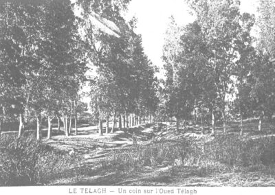 LE TELAGH- coin oued telagh