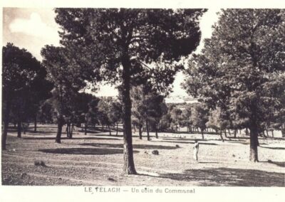 le comunal