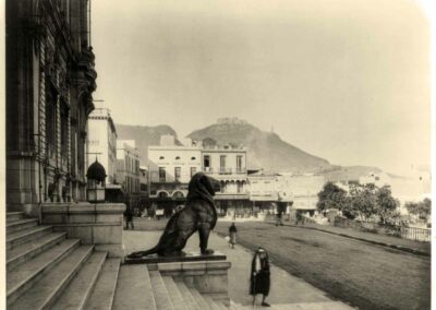 oran_lion_1900