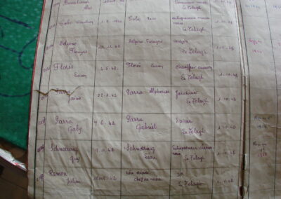 delpino francois ramon julien