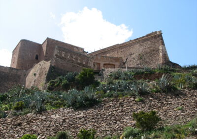 voyage au Telagh ALEX 191