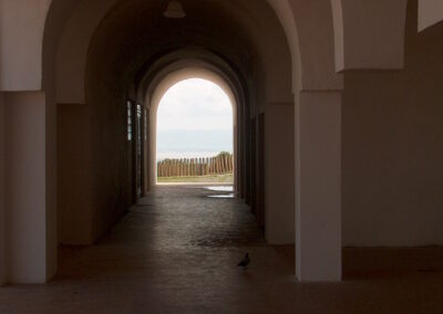 voyage au Telagh denis 088