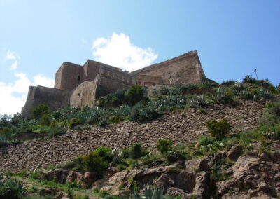 voyage au Telagh murielle 311