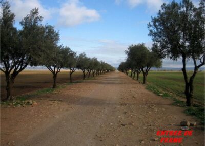 ALGERIE 29.11 au 06.12 142