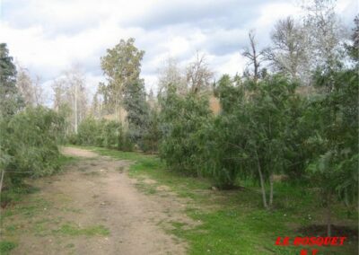 ALGERIE 29.11 au 06.12 191