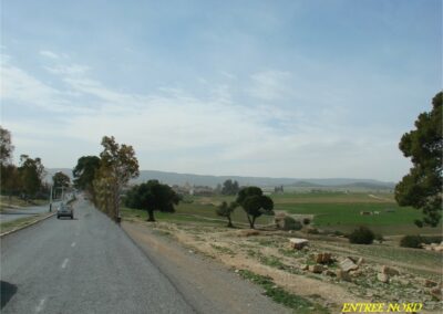 voyage au Telagh 04 07 127