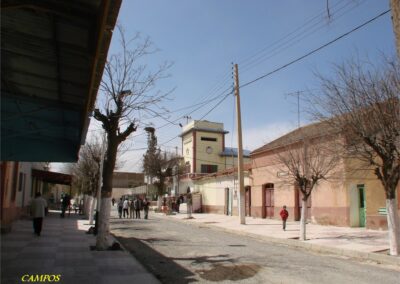 voyage au Telagh 04 07 149