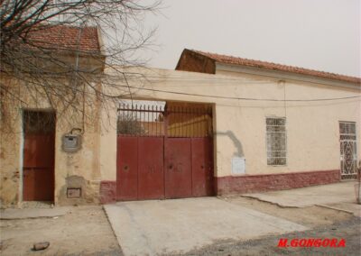 voyage au Telagh 04 07 276