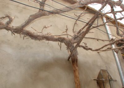 voyage au Telagh 04 07 338