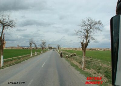 voyage au Telagh 04 07 855