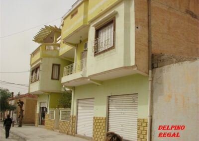 voyage au Telagh ALEX 075