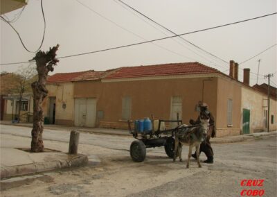 voyage au Telagh ALEX 086