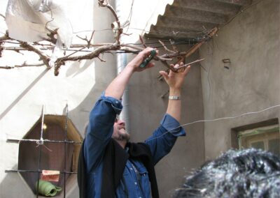 voyage au Telagh ALEX 137