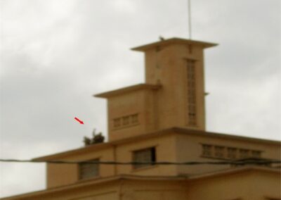 voyage au Telagh murielle 213