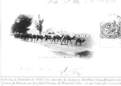 Avenue de Mascara 1904
