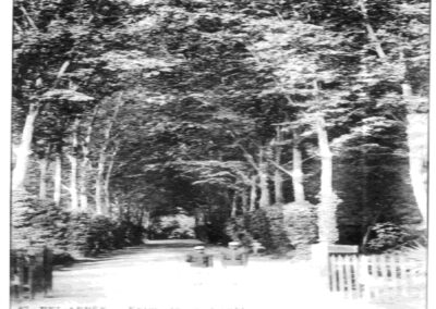 Entrée du jardin public