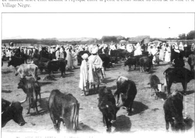 Le marche Arabe.3BMP