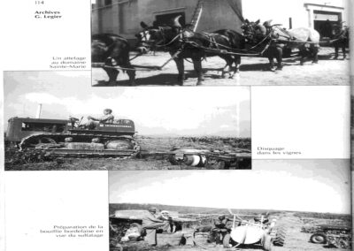 le domaine Saint-Marie.1